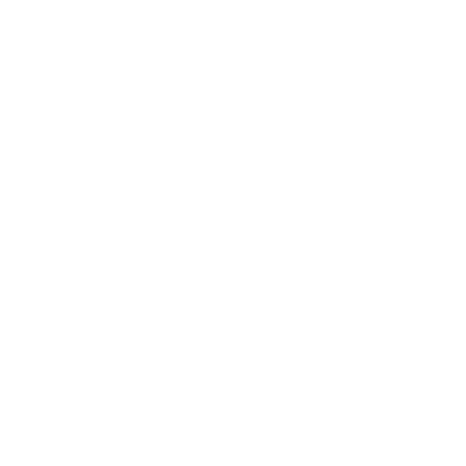 disc-brake